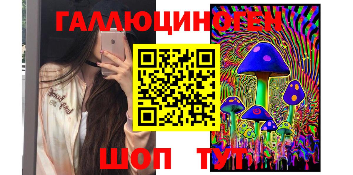 Знаменск  даркнет сайт  Вход с VPN  Галлюциногенные грибы мицелий 